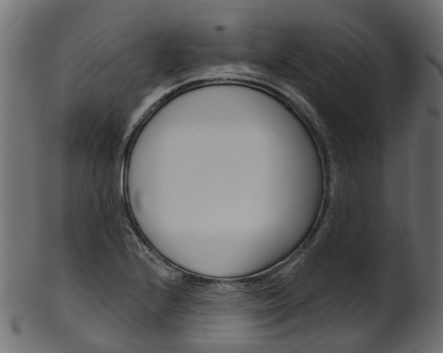 X0000102041224200807181022