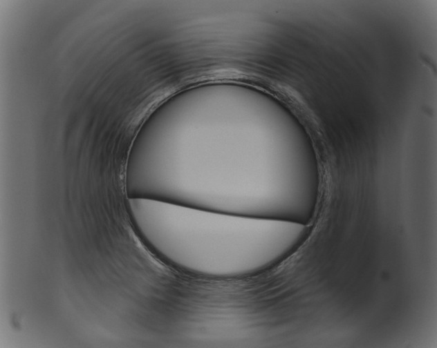 X0000102041225200807181022