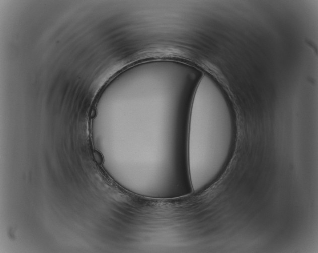 X0000102041226200807181022