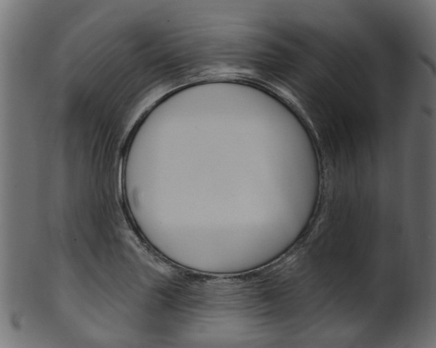 X0000102041227200807181022