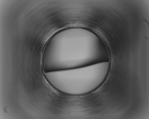 X0000102041228200807181022