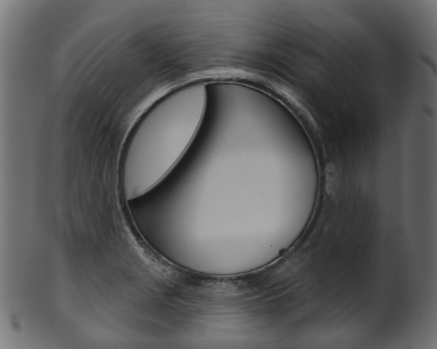 X0000102041229200807181022