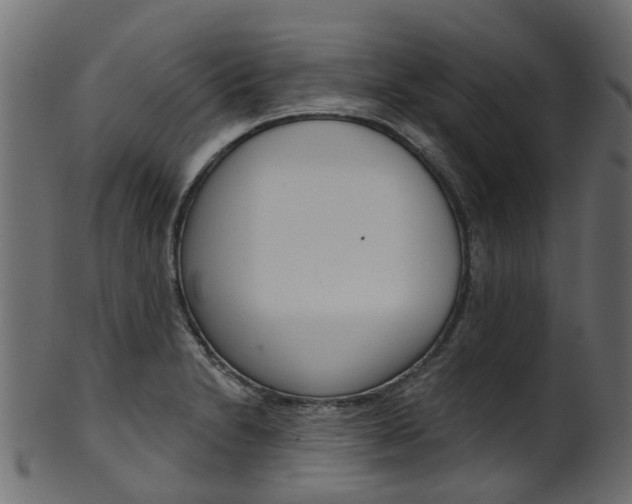 X0000102041230200807181022