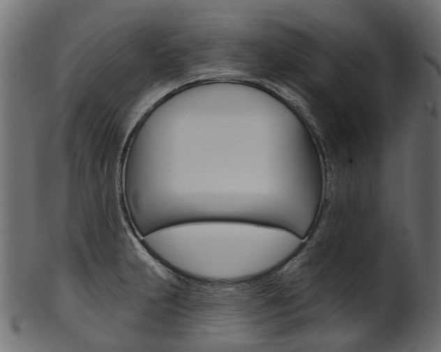 X0000102041231200807181022