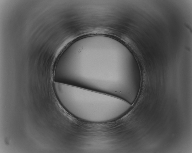 X0000102041232200807181022