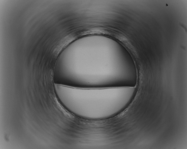X0000102041233200807181022