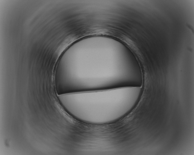 X0000102041234200807181022