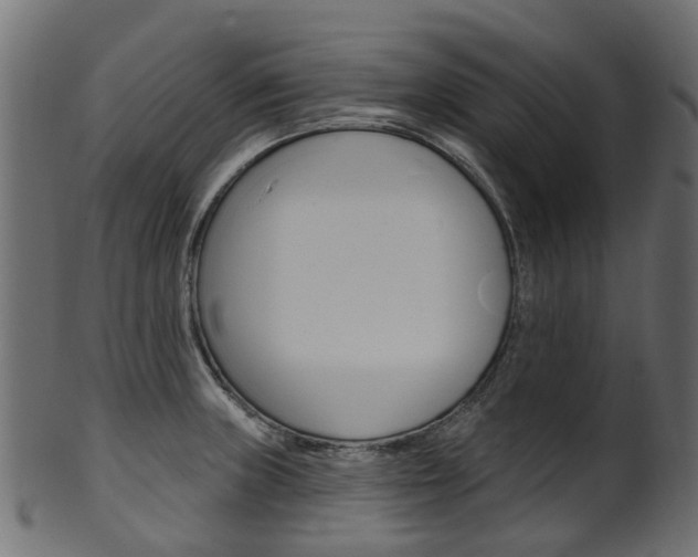 X0000102041235200807181022
