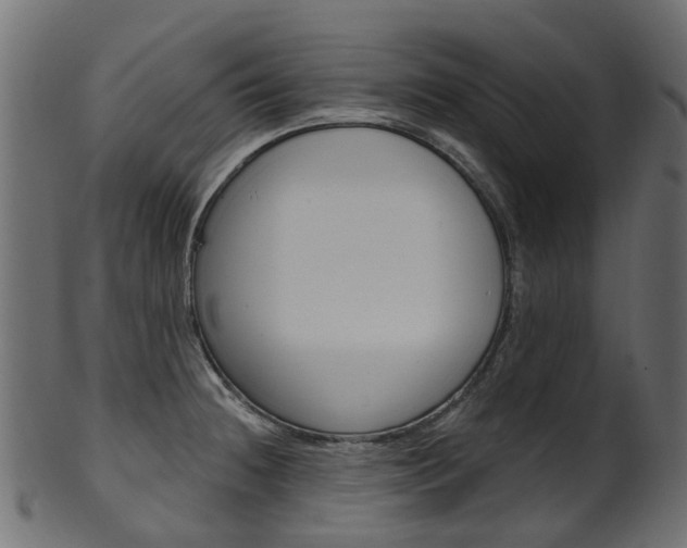 X0000102041236200807181022