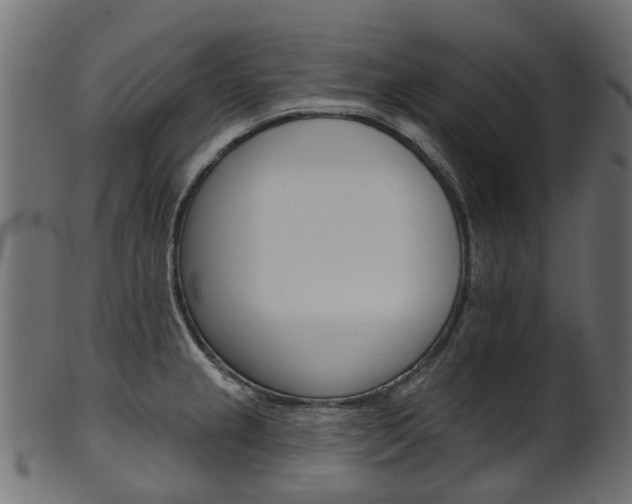 X0000102041237200807181022