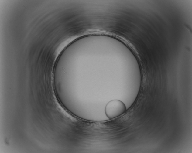 X0000102041239200807181022