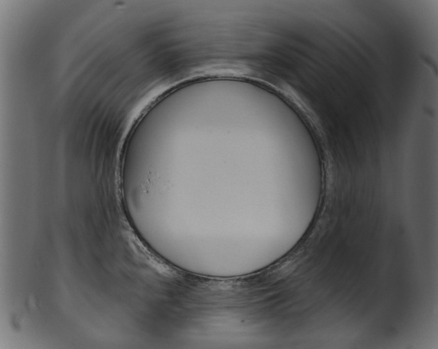 X0000102041240200807181022