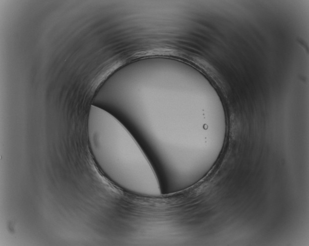 X0000102041241200807181022