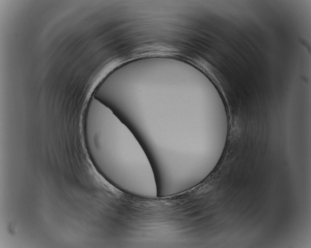 X0000102041243200807181022