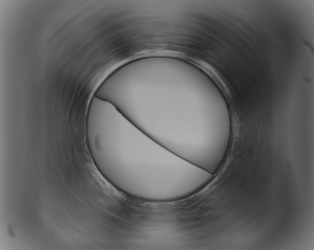 X0000102041244200807181022