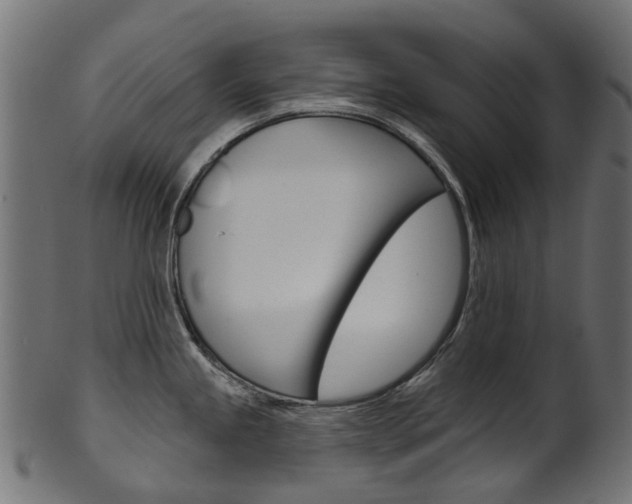 X0000102041245200807181022