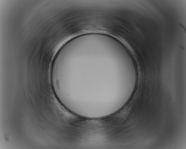 X0000102041246200807181022
