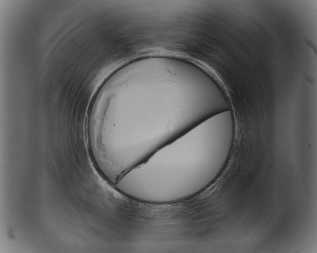 X0000102041247200807181022