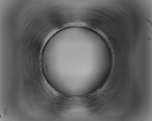 X0000102041248200807181022
