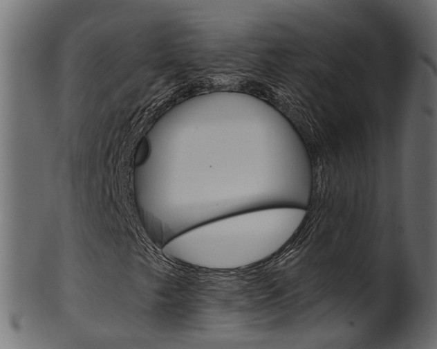 X0000102041249200807181022