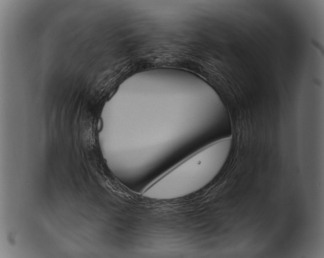 X0000102041250200807181022