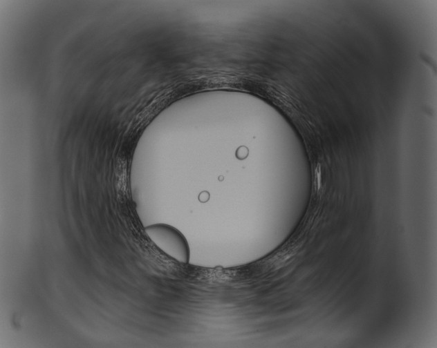 X0000102041251200807181022