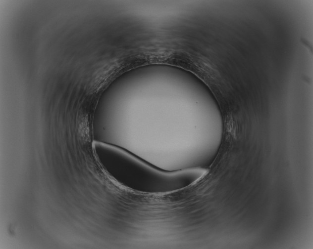 X0000102041252200807181022