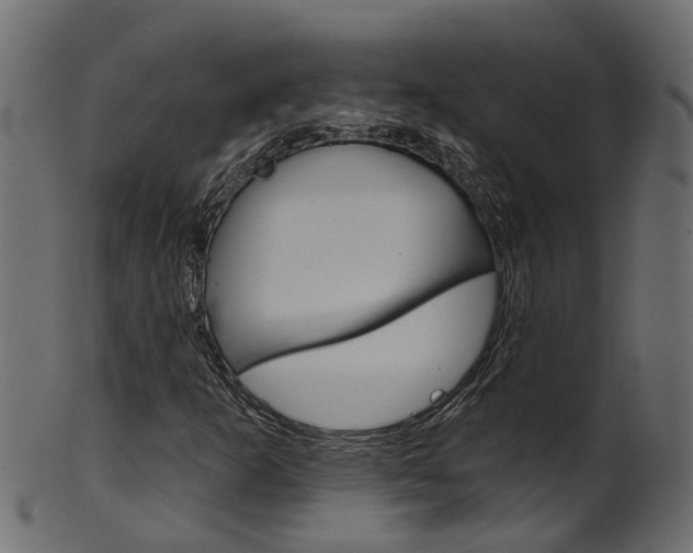 X0000102041253200807181022
