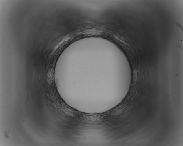 X0000102041254200807181021
