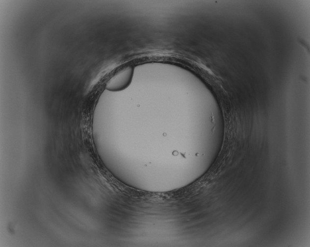 X0000102041255200807181021
