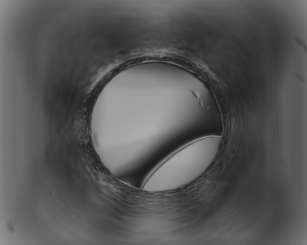 X0000102041256200807181021