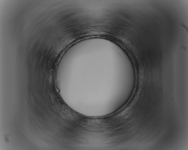 X0000102041257200807181021