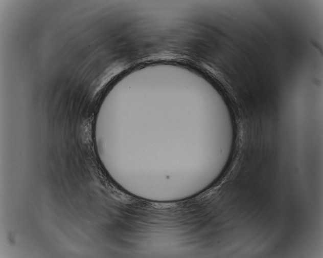 X0000102041258200807181021
