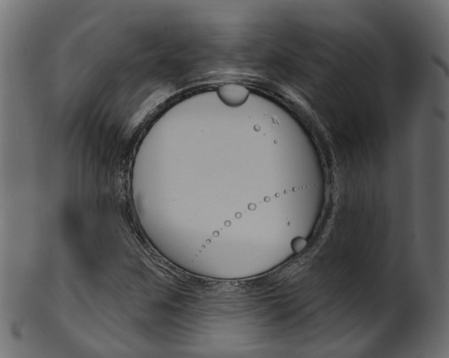 X0000102041259200807181021
