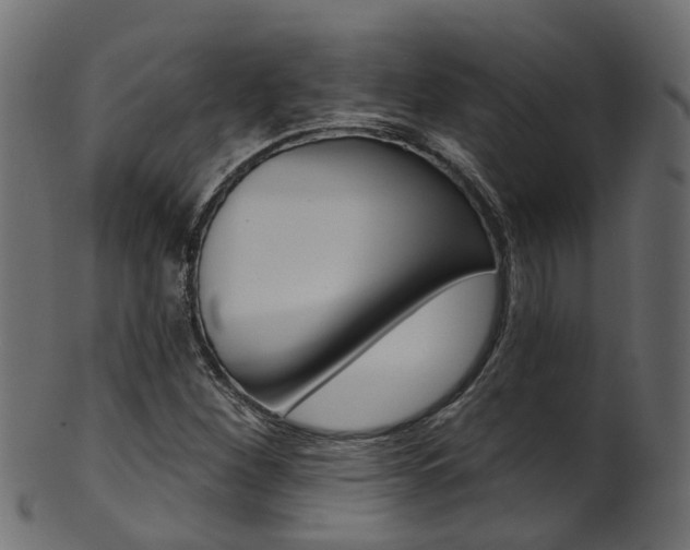 X0000102041260200807181021