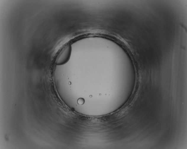 X0000102041263200807181021