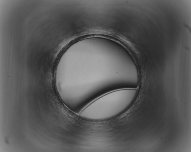 X0000102041264200807181021