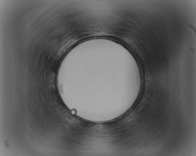 X0000102041265200807181021