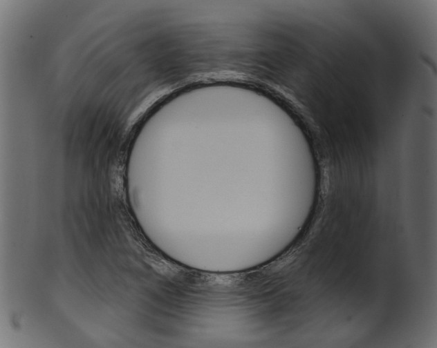 X0000102041266200807181021