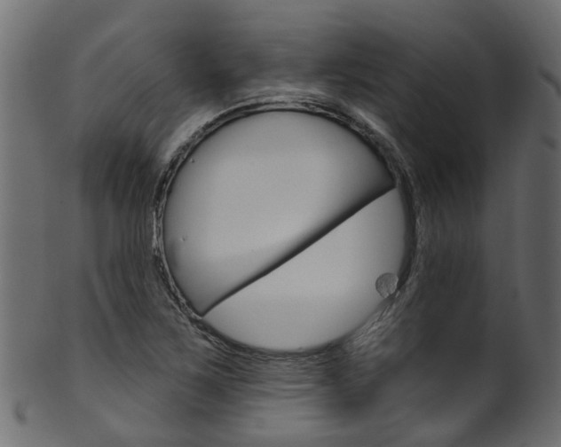X0000102041267200807181021