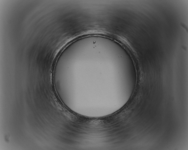 X0000102041268200807181021