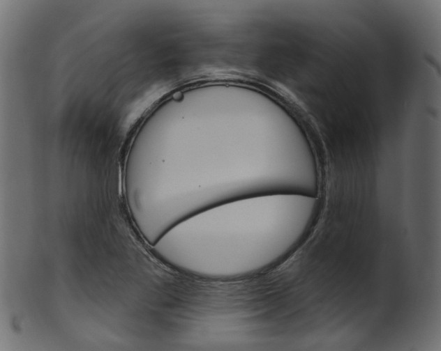 X0000102041269200807181021