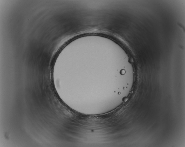 X0000102041270200807181021