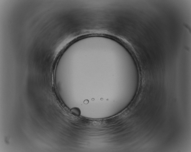 X0000102041271200807181021