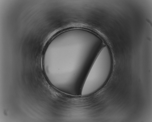 X0000102041272200807181021