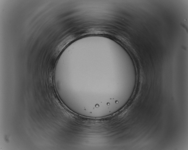 X0000102041273200807181021