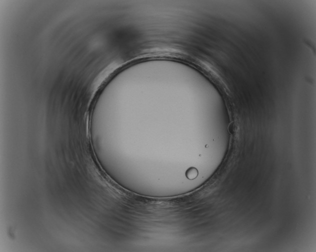 X0000102041275200807181021