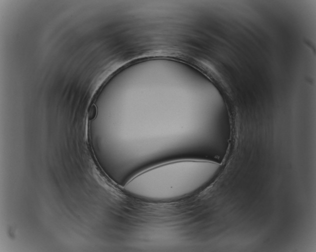 X0000102041276200807181021