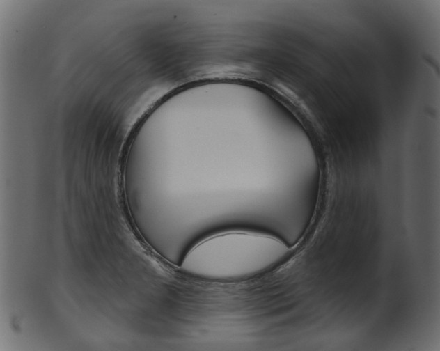 X0000102041277200807181021