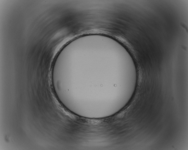 X0000102041278200807181021
